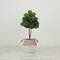 3ft. Artificial Fiddle Leaf Fig Tree With Handmade Cotton & Jute Woven Basket DIY Kit